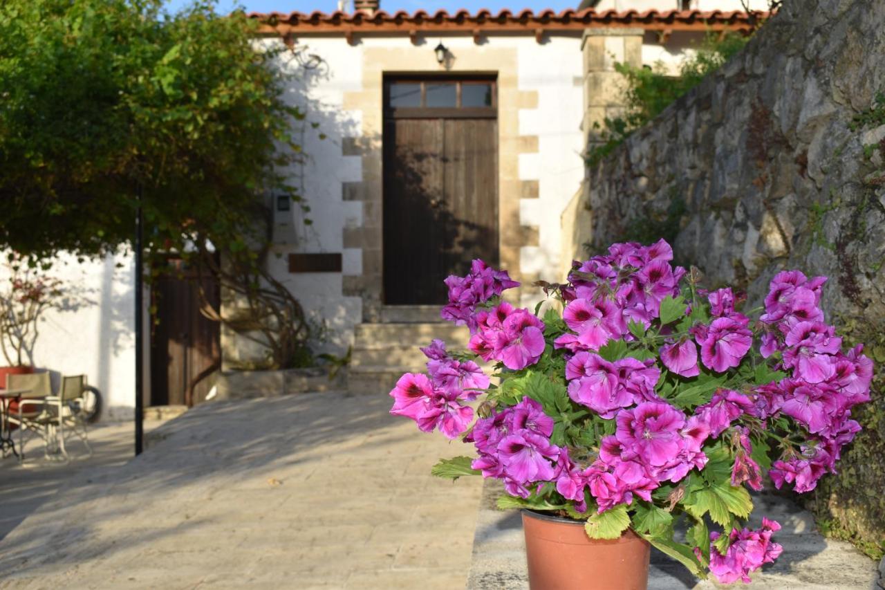 Fenareti Village House Makhairoí Dış mekan fotoğraf